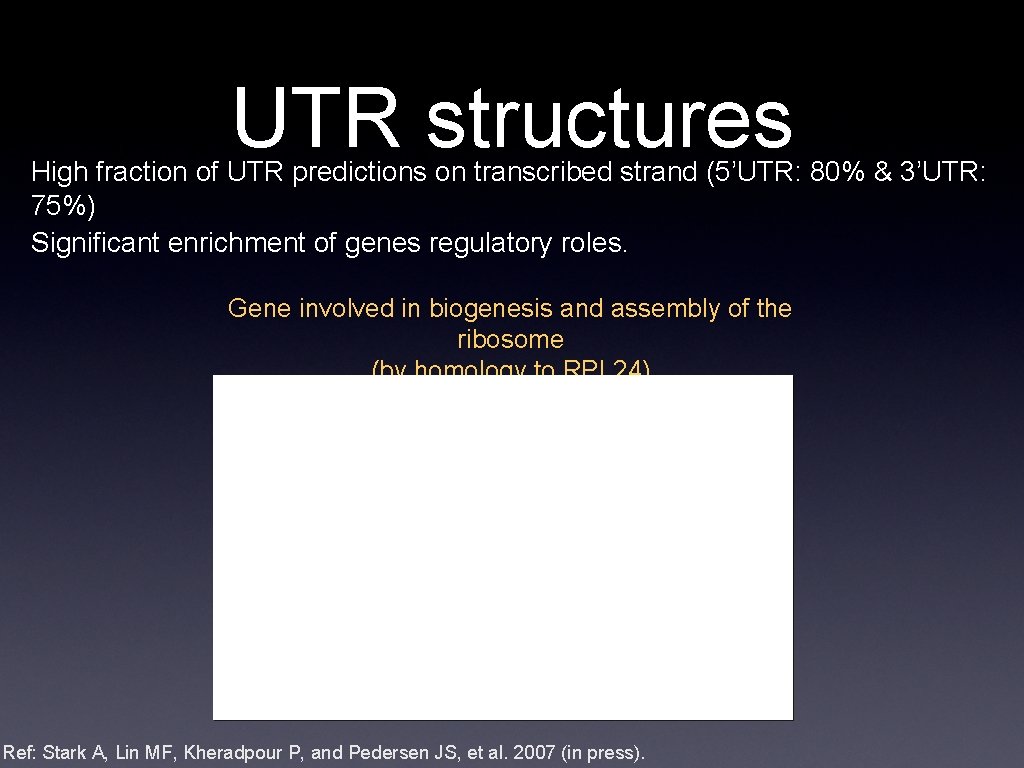 UTR structures High fraction of UTR predictions on transcribed strand (5’UTR: 80% & 3’UTR: