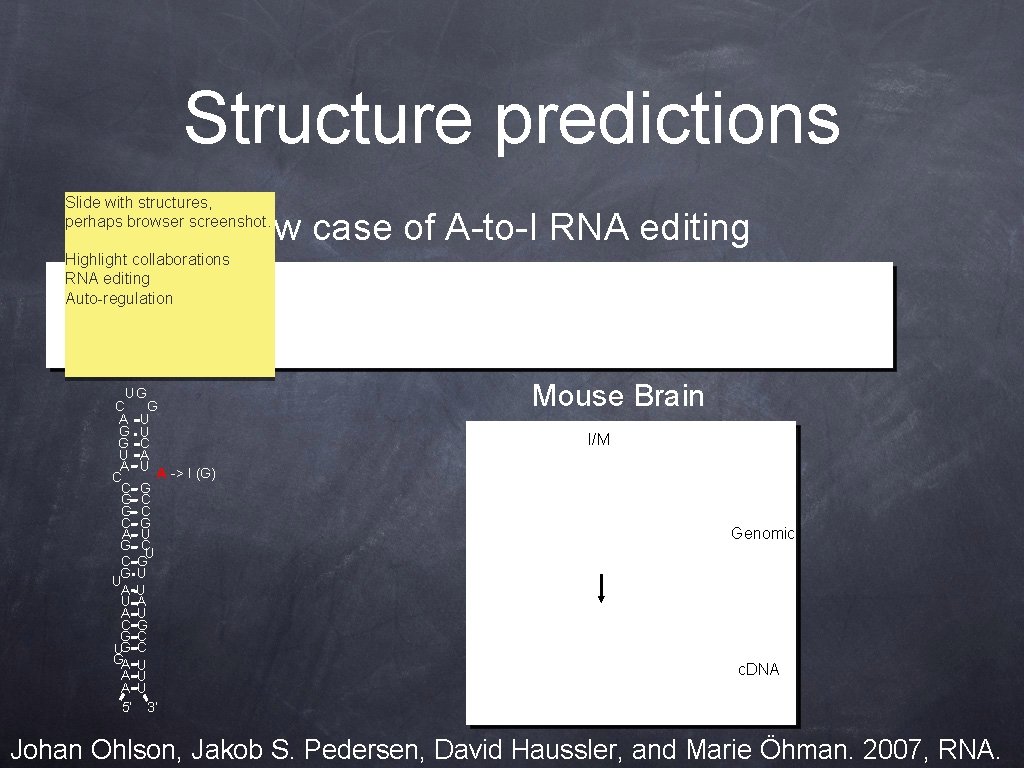 Structure predictions Slide with structures, perhaps browser screenshot. New case of A-to-I RNA editing