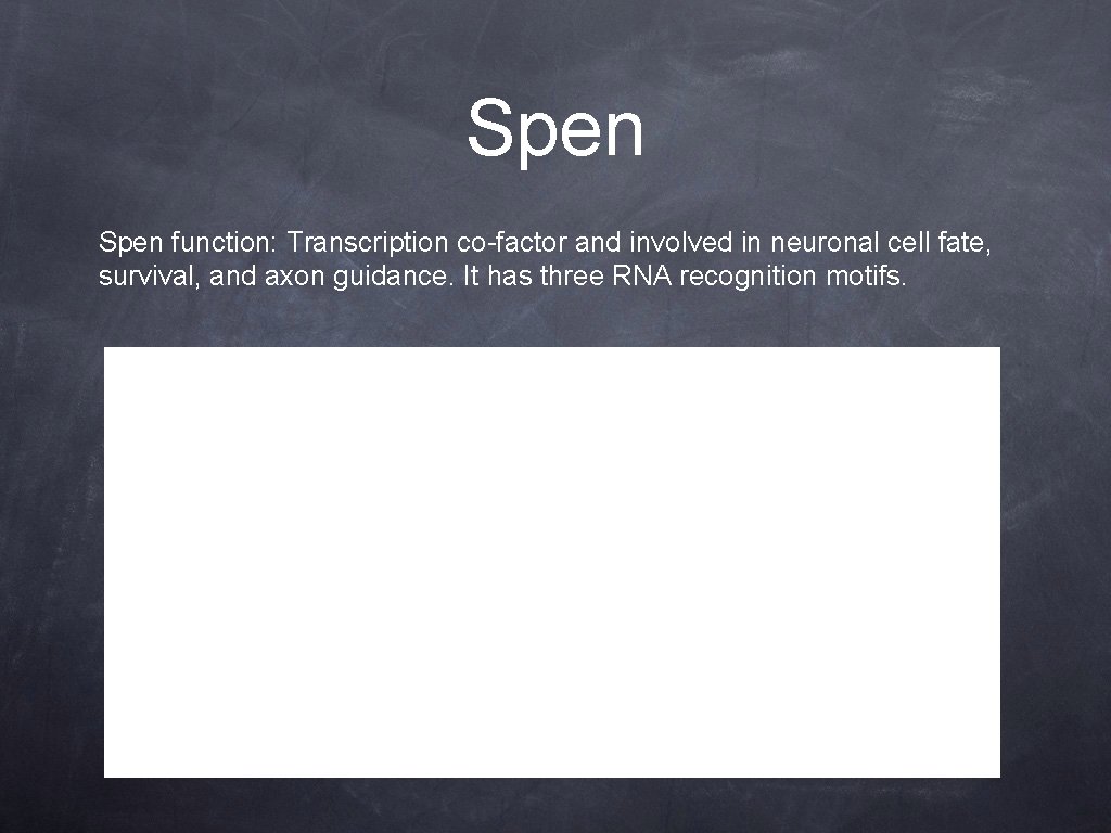 Spen function: Transcription co-factor and involved in neuronal cell fate, survival, and axon guidance.