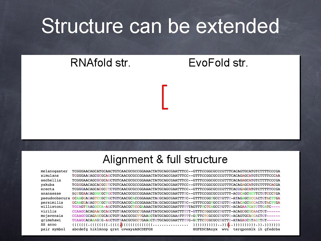 Structure can be extended RNAfold str. Evo. Fold str. Alignment & full structure 