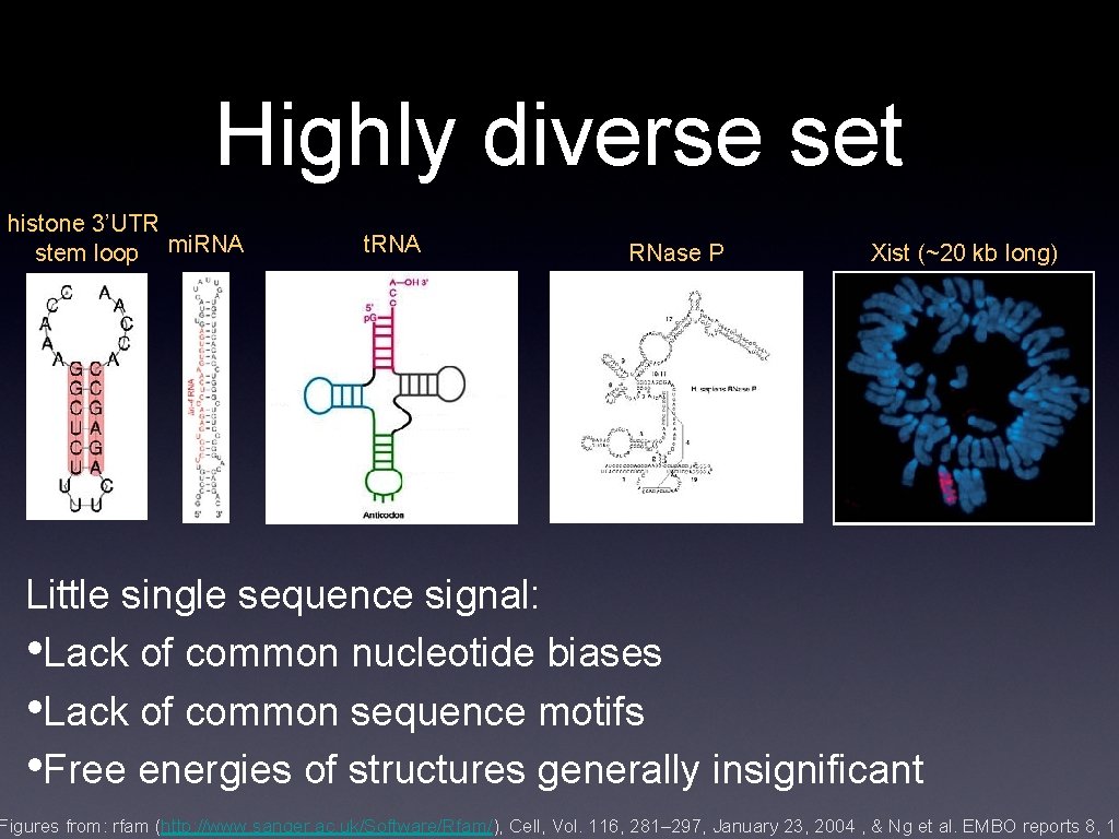 Highly diverse set histone 3’UTR stem loop mi. RNA t. RNA RNase P Xist