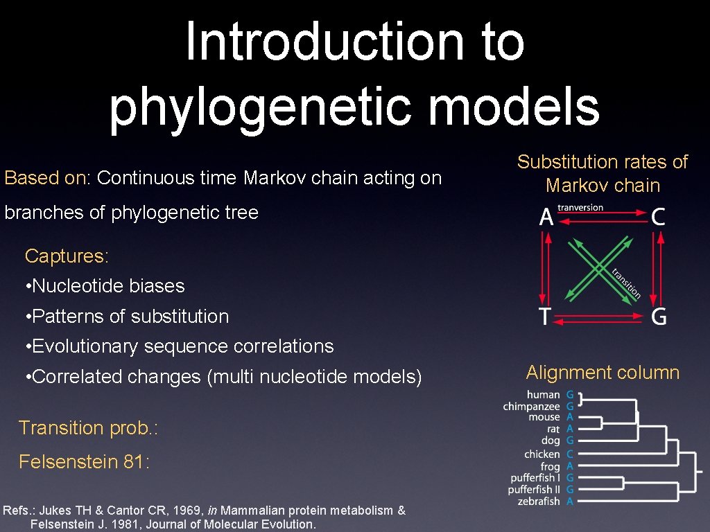 Introduction to phylogenetic models Based on: Continuous time Markov chain acting on Substitution rates