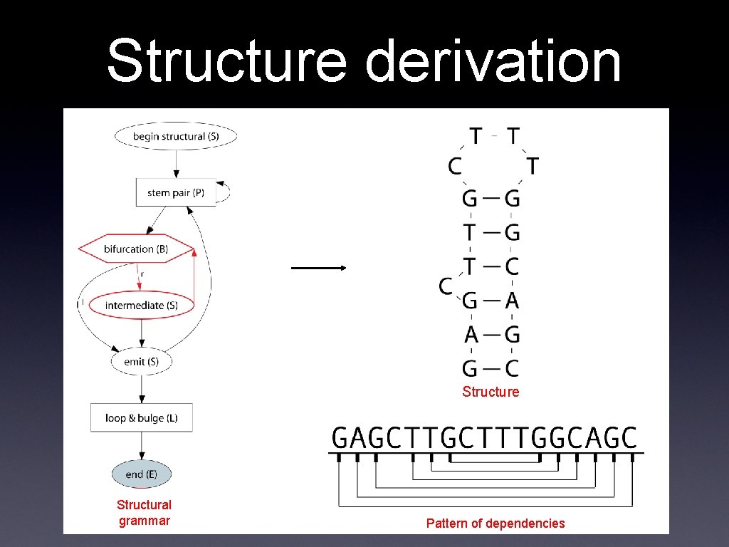 Structure derivation Structure Structural grammar Pattern of dependencies 