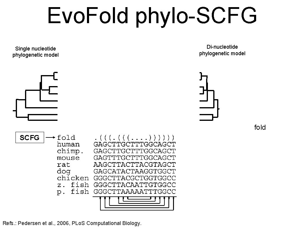 Evo. Fold phylo-SCFG Single nucleotide phylogenetic model Di-nucleotide phylogenetic model fold SCFG Refs. :