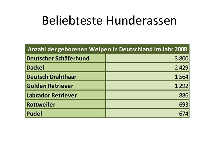 Beliebteste Hunderassen 