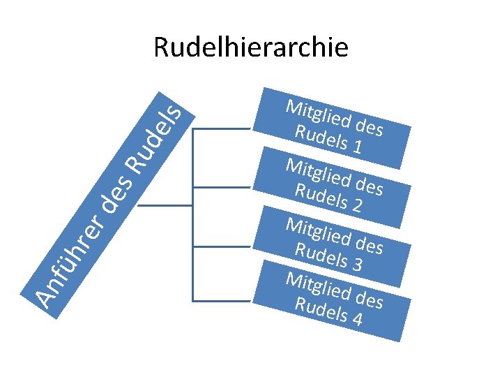 An füh rer de s R ud els Rudelhierarchie Mitgl ied d Rude es