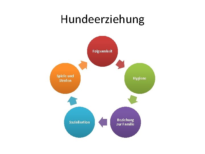 Hundeerziehung Folgsamkeit Spiele und Strafen Sozialisation Hygiene Beziehung zur Familie 