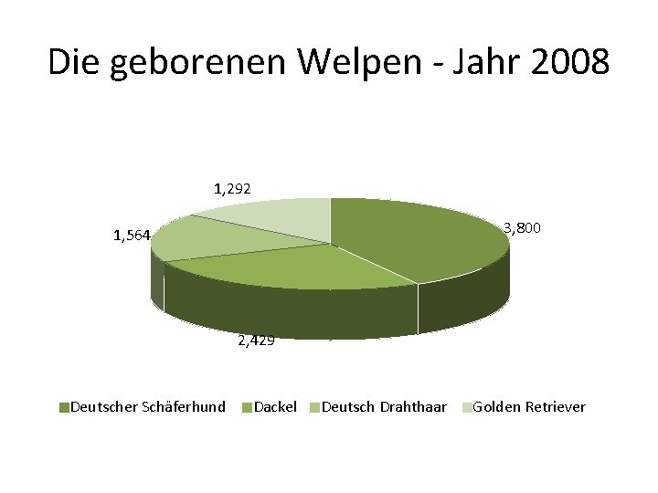 Die geborenen Welpen - Jahr 2008 1, 292 3, 800 1, 564 2, 429