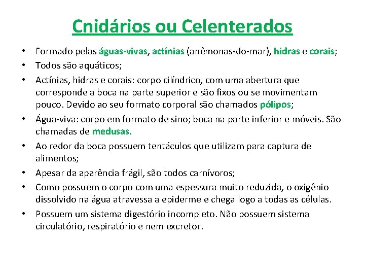 Cnidários ou Celenterados • Formado pelas águas-vivas, actínias (anêmonas-do-mar), hidras e corais; • Todos