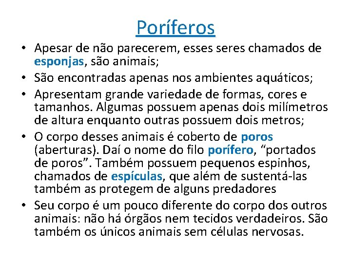 Poríferos • Apesar de não parecerem, esses seres chamados de esponjas, são animais; •