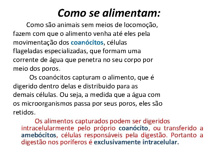 Como se alimentam: Como são animais sem meios de locomoção, fazem com que o