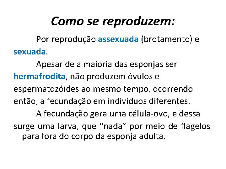 Como se reproduzem: Por reprodução assexuada (brotamento) e sexuada. Apesar de a maioria das