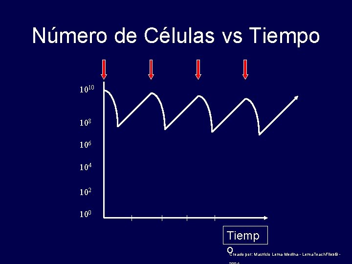 Número de Células vs Tiempo 1010 108 106 104 102 100 Tiemp o Creado