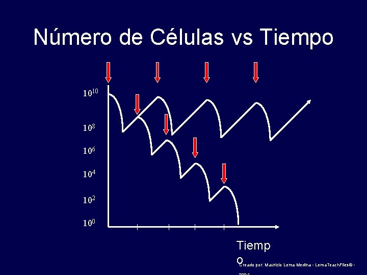 Número de Células vs Tiempo 1010 108 106 104 102 100 Tiemp o Creado