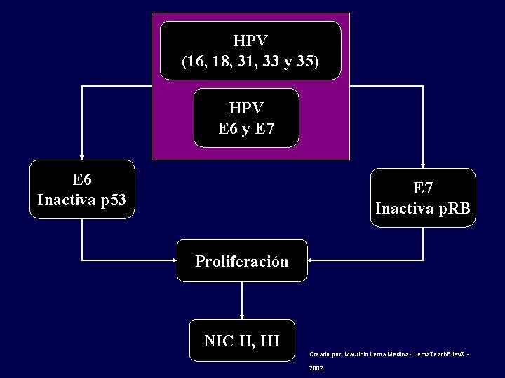 HPV (16, 18, 31, 33 y 35) HPV E 6 y E 7 E