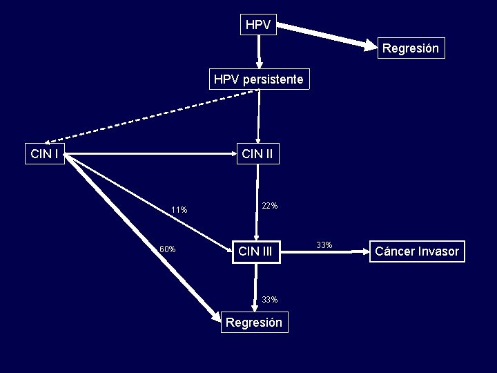 HPV Regresión HPV persistente CIN II 11% 60% 22% CIN III 33% Regresión 33%