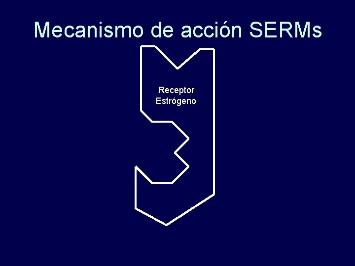 Mecanismo de acción SERMs Receptor Estrógeno 