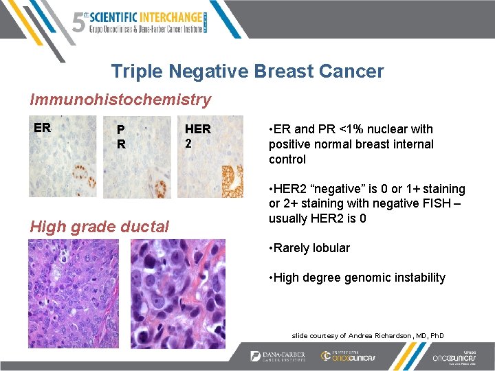 Triple Negative Breast Cancer Immunohistochemistry ER P R High grade ductal HER 2 •