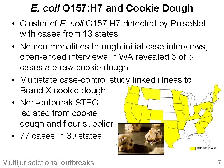 E. coli O 157: H 7 and Cookie Dough • Cluster of E. coli