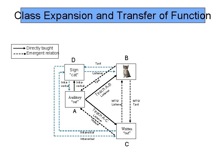 Class Expansion and Transfer of Function Directly taught Emergent relation B D Tact Sign