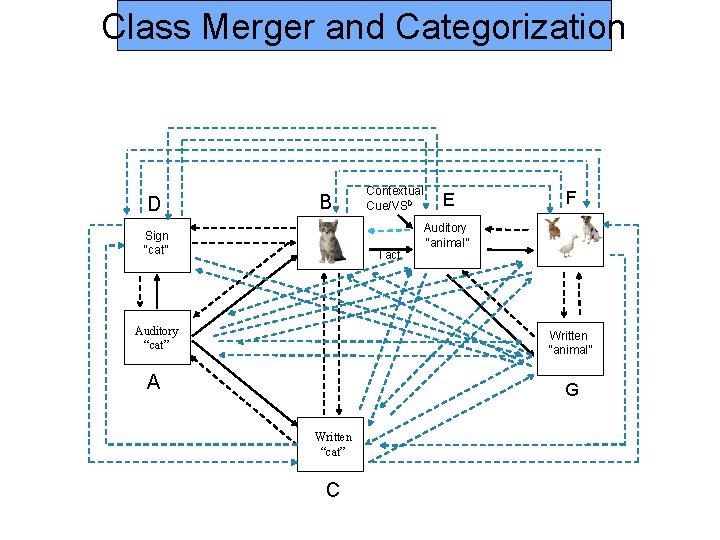 Class Merger and Categorization Contextual Cue/VSD B D Sign “cat” Tact Auditory “cat” E