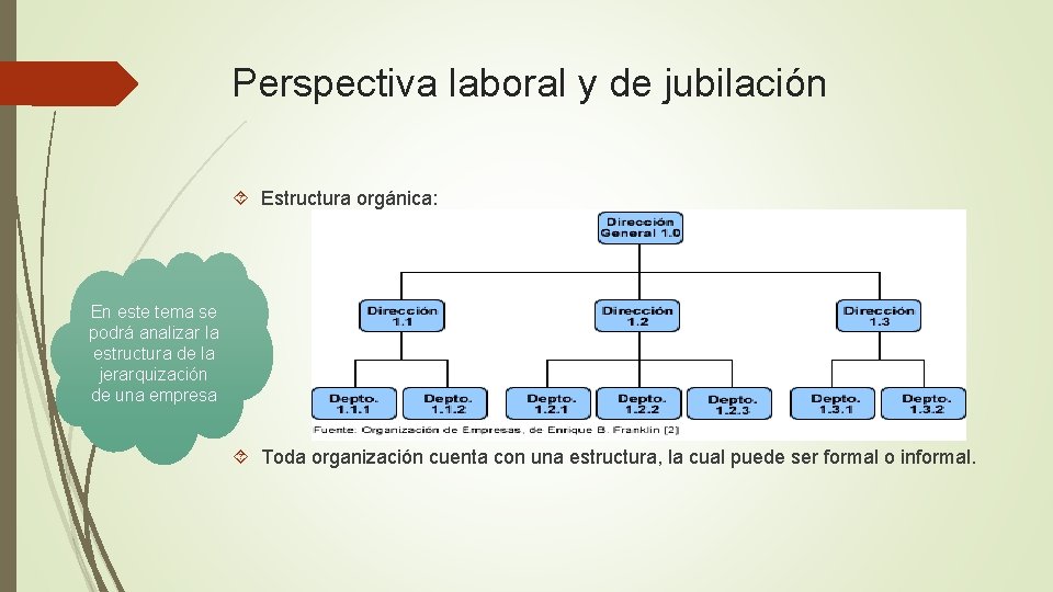 Perspectiva laboral y de jubilación Estructura orgánica: En este tema se podrá analizar la