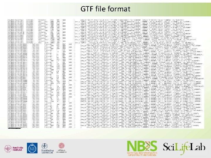 GTF file format GTF file format