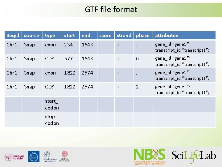 GTF file format Seqid source type start end score strand phase attributes Chr 1 GTF file format Seqid source type start end score strand phase attributes Chr 1