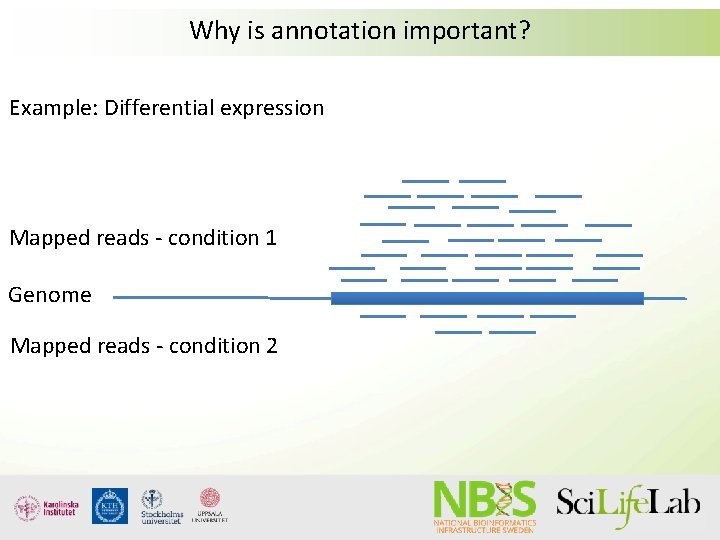 Why is annotation important? Example: Differential expression Mapped reads - condition 1 Genome Mapped Why is annotation important? Example: Differential expression Mapped reads - condition 1 Genome Mapped