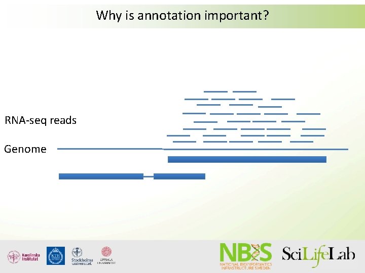 Why is annotation important? RNA-seq reads Genome Why is annotation important? RNA-seq reads Genome