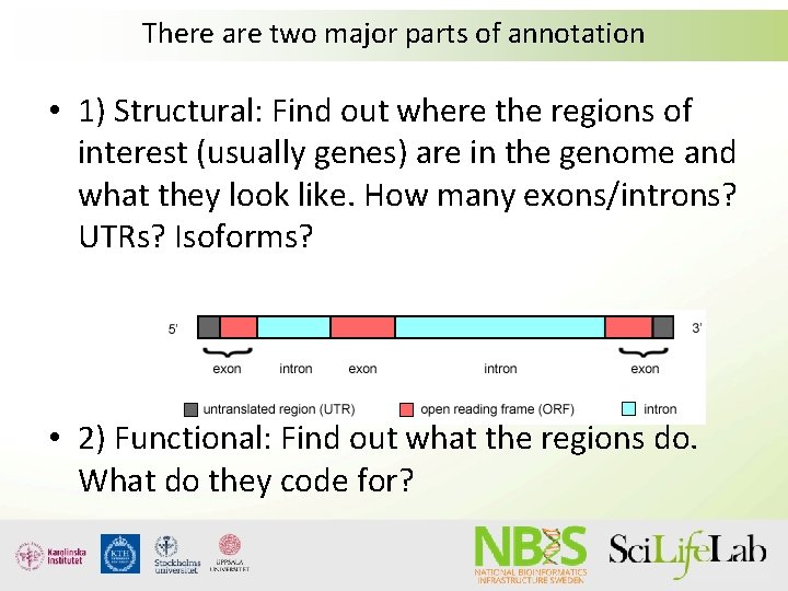 There are two major parts of annotation • 1) Structural: Find out where the There are two major parts of annotation • 1) Structural: Find out where the