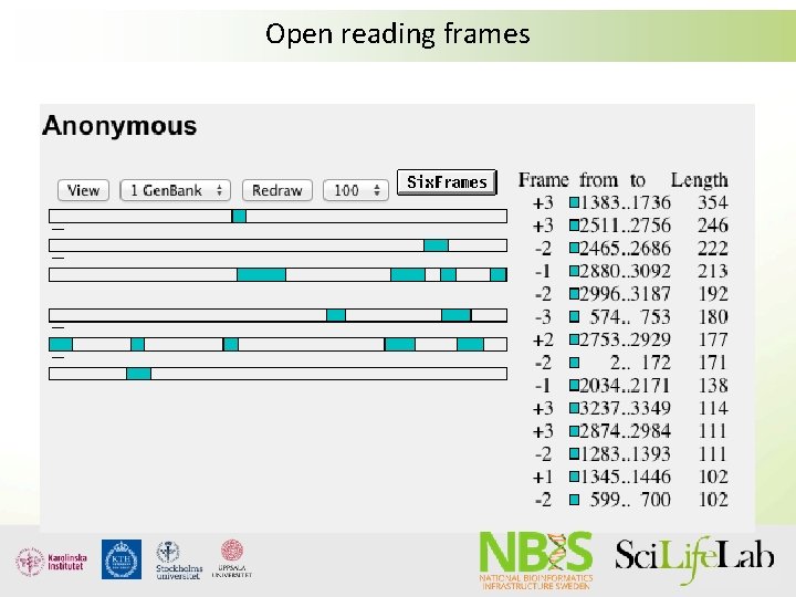 Open reading frames Open reading frames