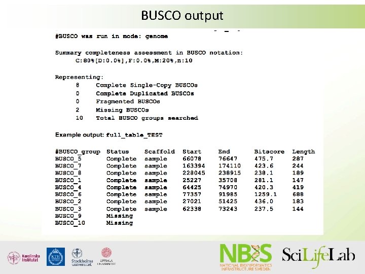 BUSCO output BUSCO output