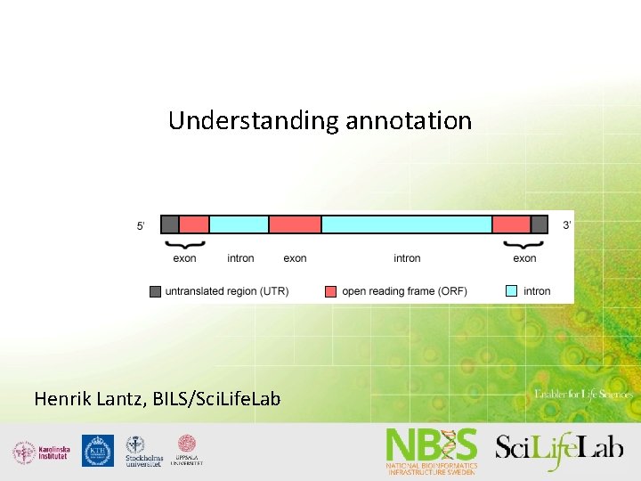 Understanding annotation Some possibilities and some pitfalls Henrik Lantz, BILS/Sci. Life. Lab Understanding annotation Some possibilities and some pitfalls Henrik Lantz, BILS/Sci. Life. Lab
