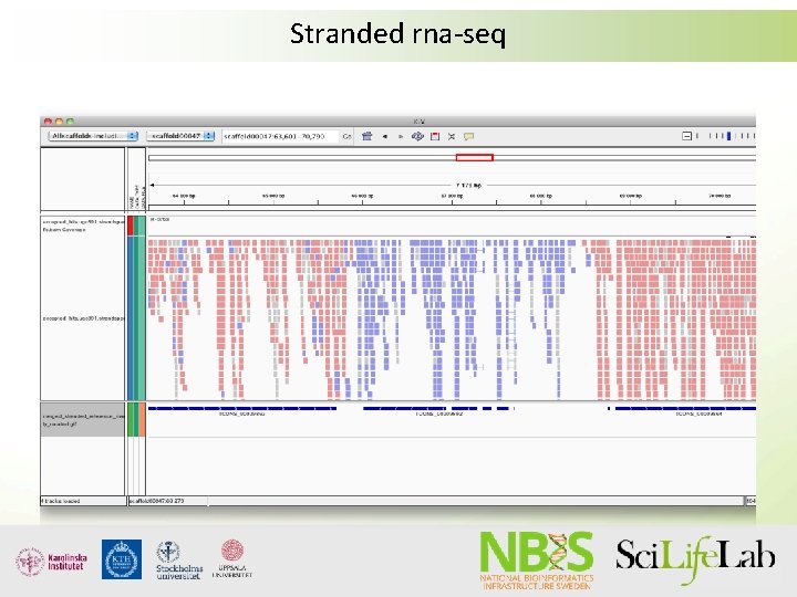 Stranded rna-seq Stranded rna-seq