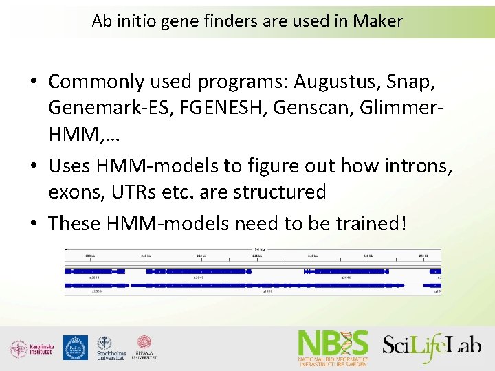 Ab initio gene finders are used in Maker • Commonly used programs: Augustus, Snap, Ab initio gene finders are used in Maker • Commonly used programs: Augustus, Snap,
