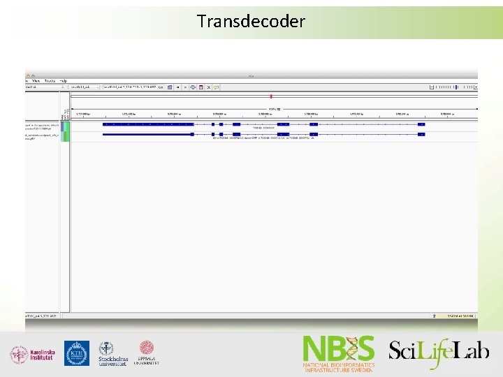 Transdecoder Transdecoder