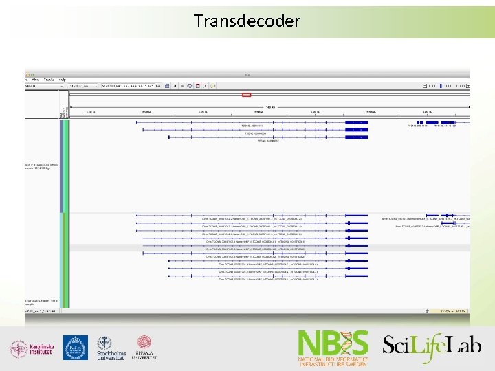 Transdecoder Transdecoder
