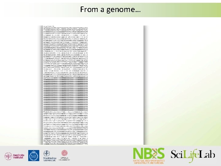 From a genome… From a genome…