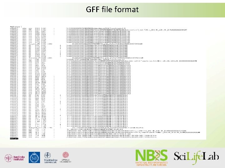 GFF file format GFF file format