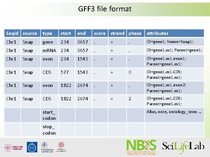 GFF 3 file format Seqid source type start end score strand phase attributes Chr GFF 3 file format Seqid source type start end score strand phase attributes Chr