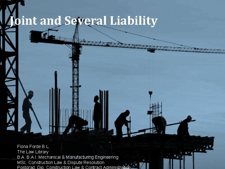 Joint and Several Liability Fiona Forde B. L. The Law Library B. A. I.