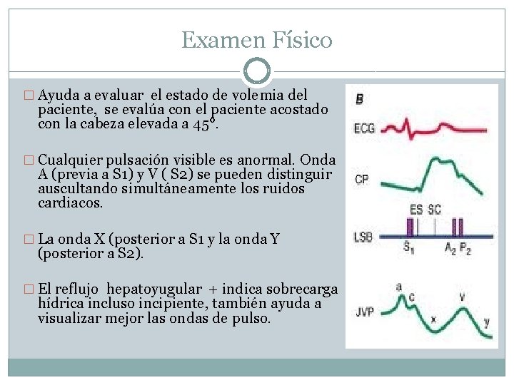 Examen Físico � Ayuda a evaluar el estado de volemia del paciente, se evalúa