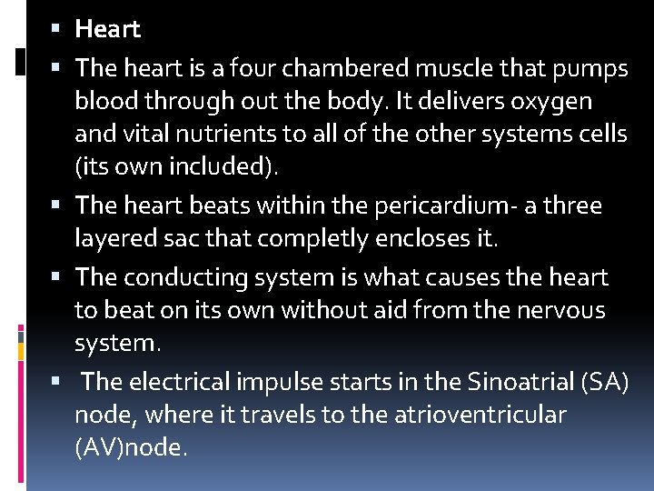  Heart The heart is a four chambered muscle that pumps blood through out