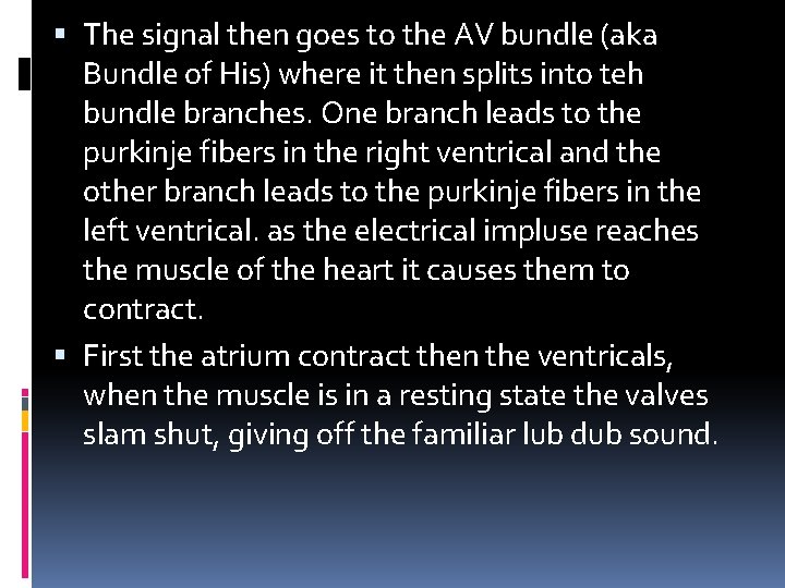  The signal then goes to the AV bundle (aka Bundle of His) where