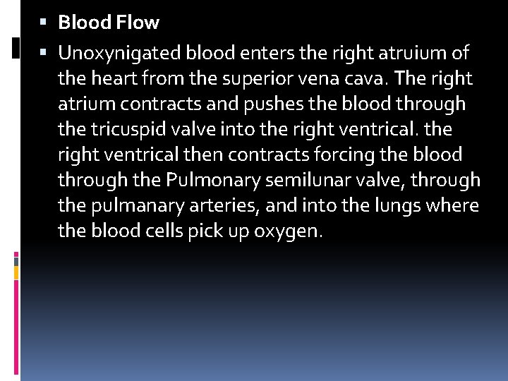  Blood Flow Unoxynigated blood enters the right atruium of the heart from the