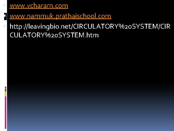  www. vchararn. com www. nammuk. prathaischool. com http: //leavingbio. net/CIRCULATORY%20 SYSTEM/CIR CULATORY%20 SYSTEM.