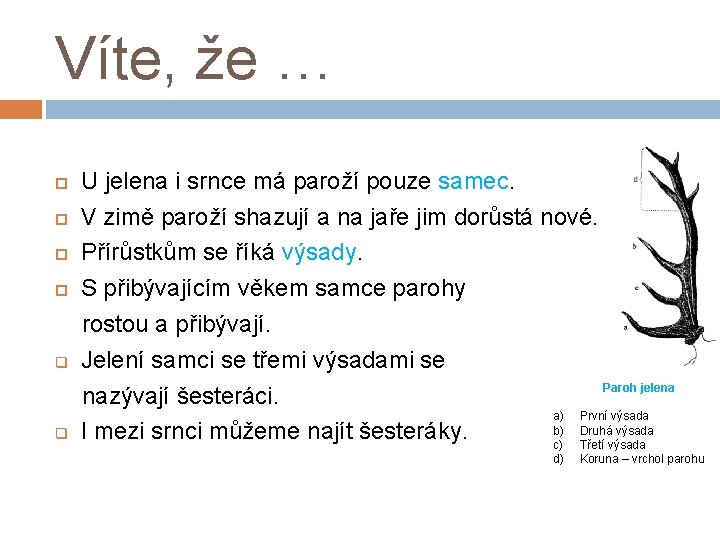 Víte, že … U jelena i srnce má paroží pouze samec. V zimě paroží