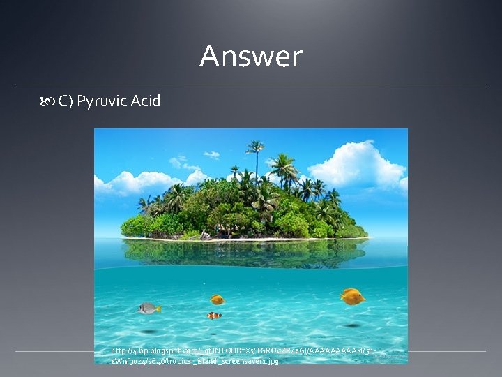 Answer C) Pyruvic Acid http: //4. bp. blogspot. com/_gf. JNTQHDt. Xs/TGRQc. ZR 4 e.