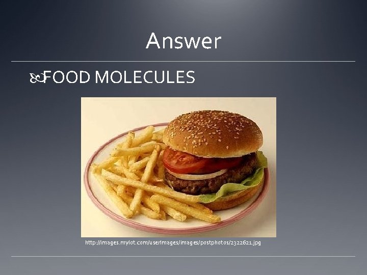 Answer FOOD MOLECULES http: //images. mylot. com/user. Images/images/postphotos/2322621. jpg 